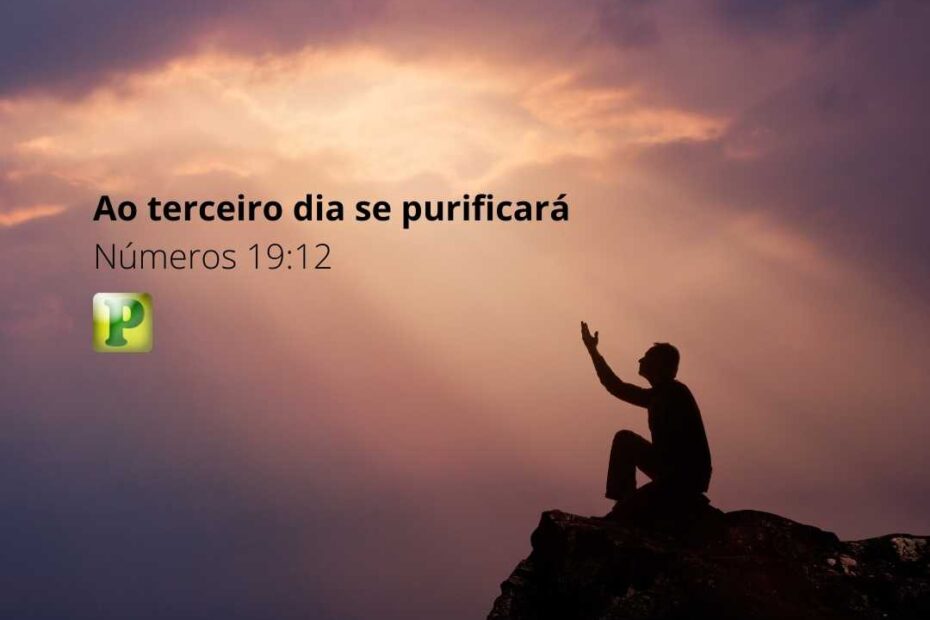 Ao terceiro dia se purificará - Pregação Tipológica em Números 19:12