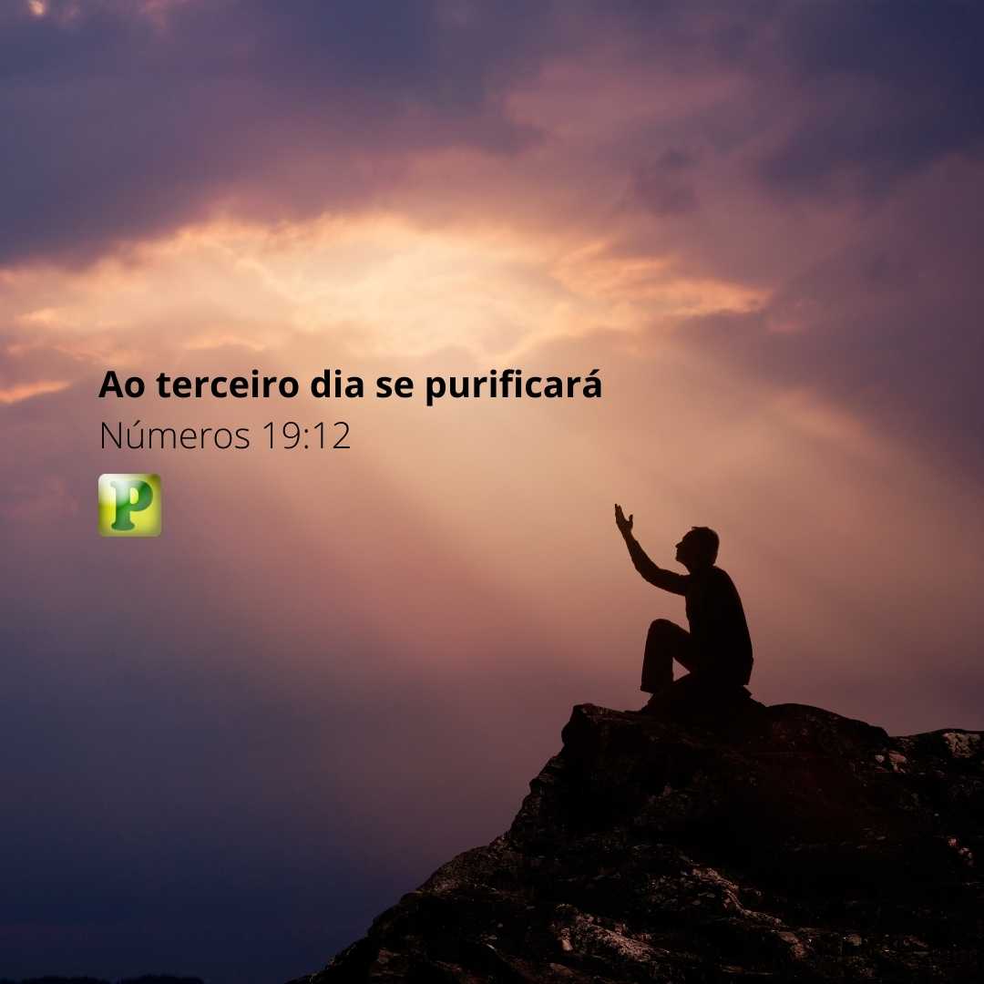 Ao terceiro dia se purificará - Pregação Tipológica em Números 19:12