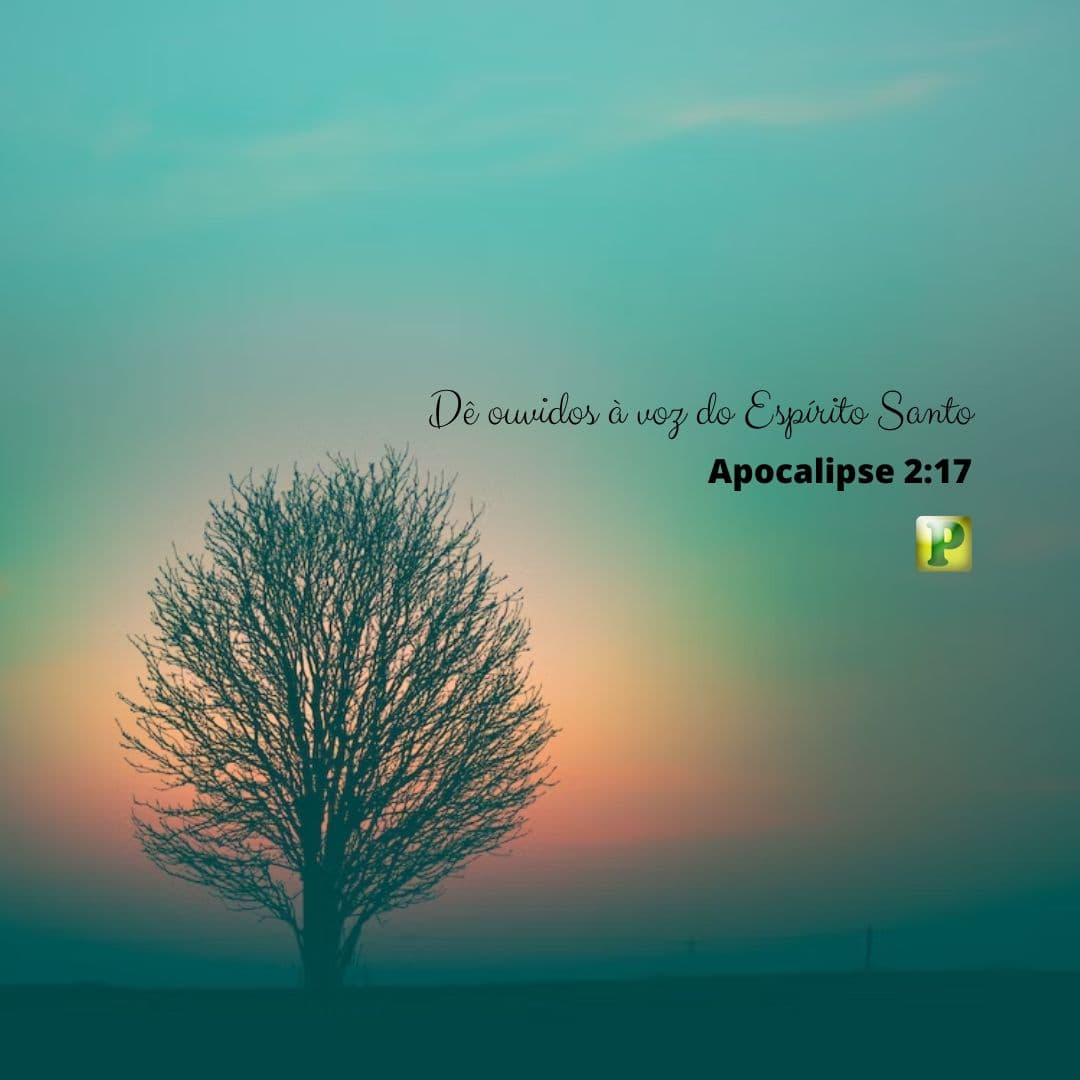 Dê ouvidos à voz do Espírito Santo - Apocalipse 2:17