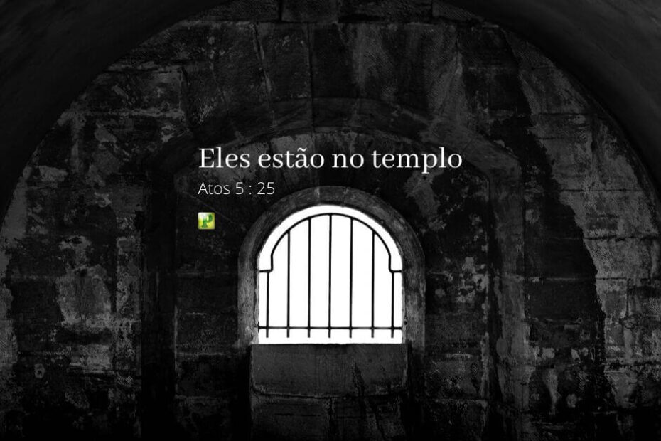 Eles estão no Templo - Atos 5:25