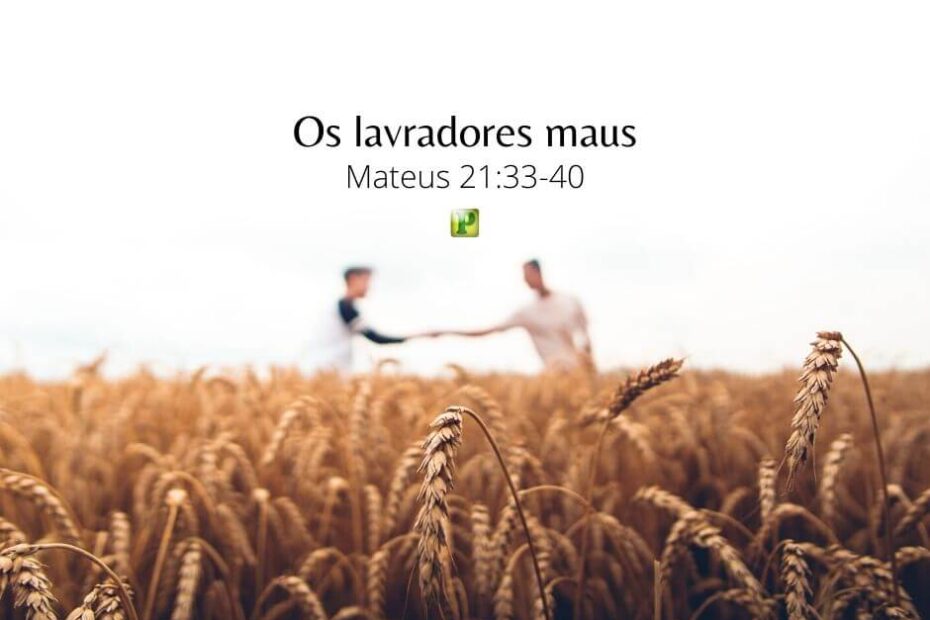 Os lavradores maus - Mateus 21:33-40