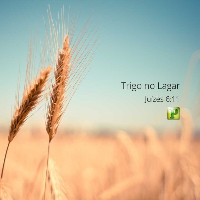 Trigo no Lagar - Juízes 6:11