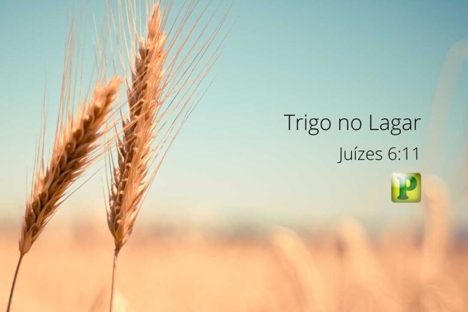 Trigo no Lagar - Juízes 6:11