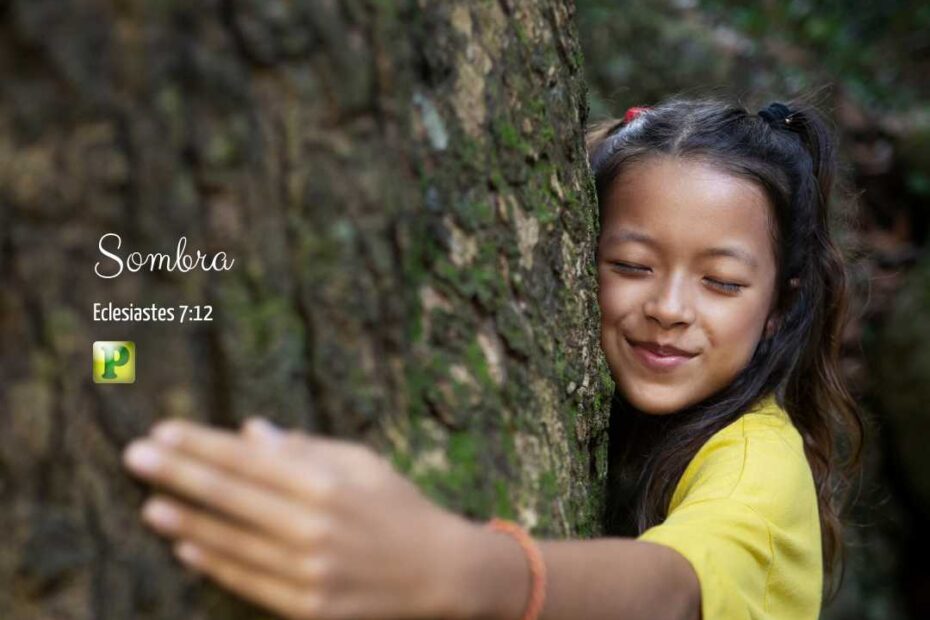 Eclesiastes 7:12 - Sombra