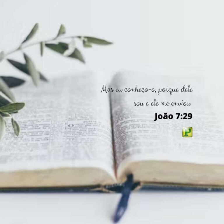 Mas eu conheço-o, porque dele sou e ele me enviou – João 7:29
