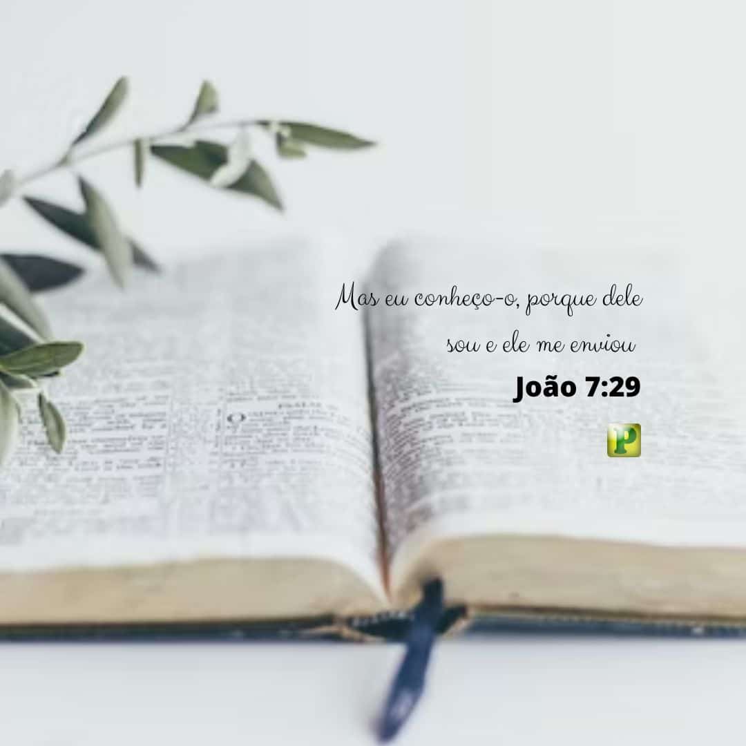 Mas eu conheço-o, porque dele sou e ele me enviou - Pregação Evangelística em João 7:29
