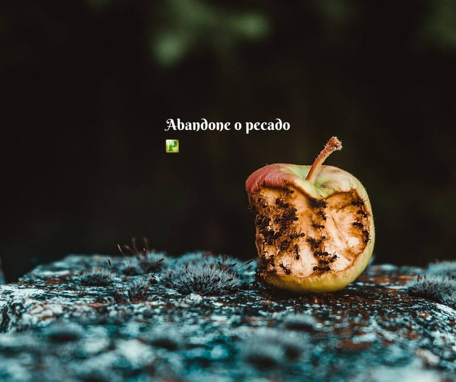 O que separa o homem de Deus - Pregação Expositiva em Isaías 59:1-2