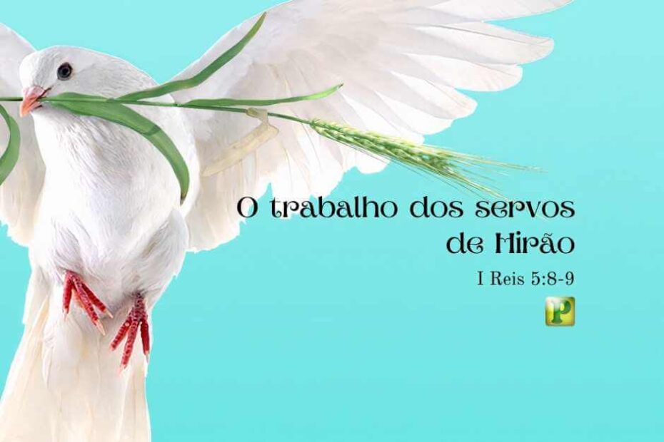 O trabalho dos servos de Hirão - Pregação Expositiva em 1 Reis 5:8-12