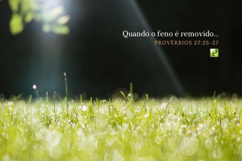 Quando o feno é removido... - Provérbios 27:25-27