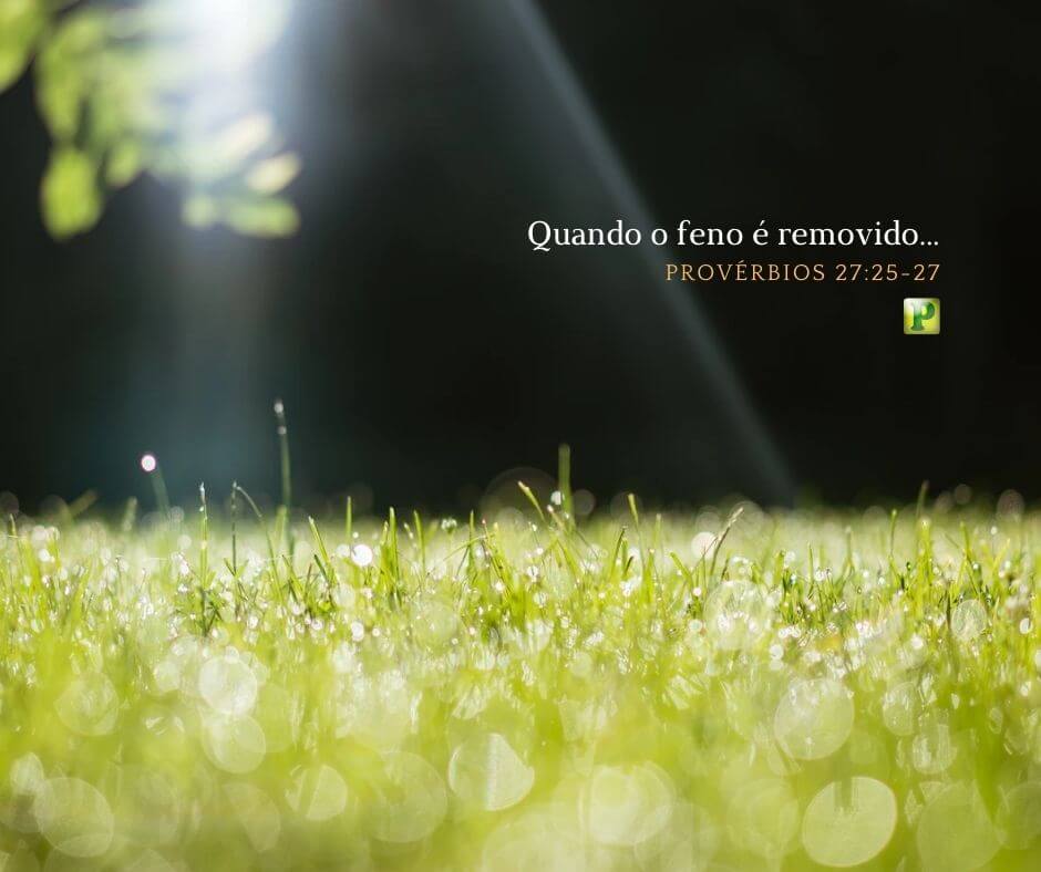 Quando o feno é removido... - Provérbios 27:25-27