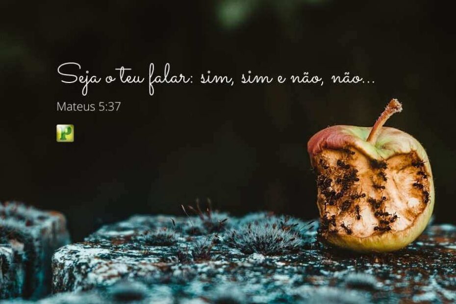 Seja o teu falar - Pregação Expositiva em Mateus 5:37
