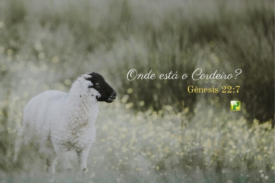 Onde está o Cordeiro - Pregação Textual em Gênesis 22:7
