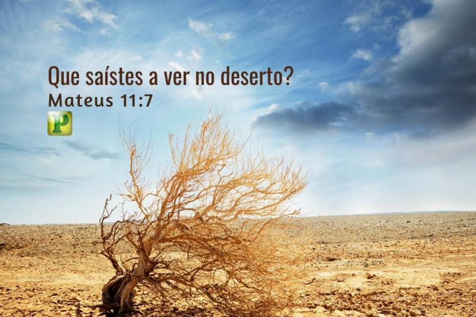 Que saíste a ver no deserto? - Pregação Expositiva em Mateus 11:7-11