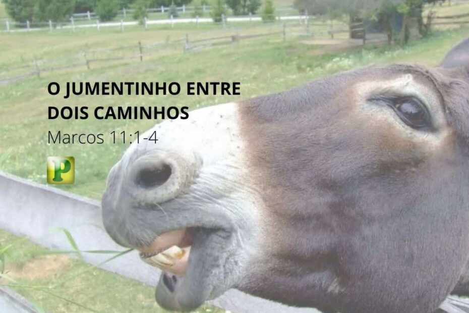 O jumentinho entre dois caminhos - Pregação Textual em Marcos 11:1-4