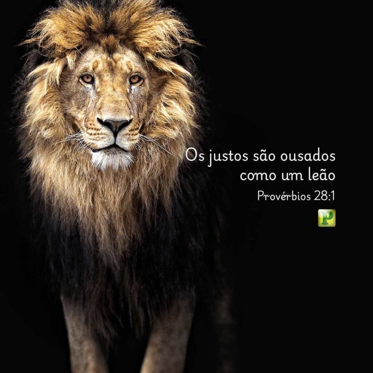 Os justos são ousados como um leão - Provérbios 28:1