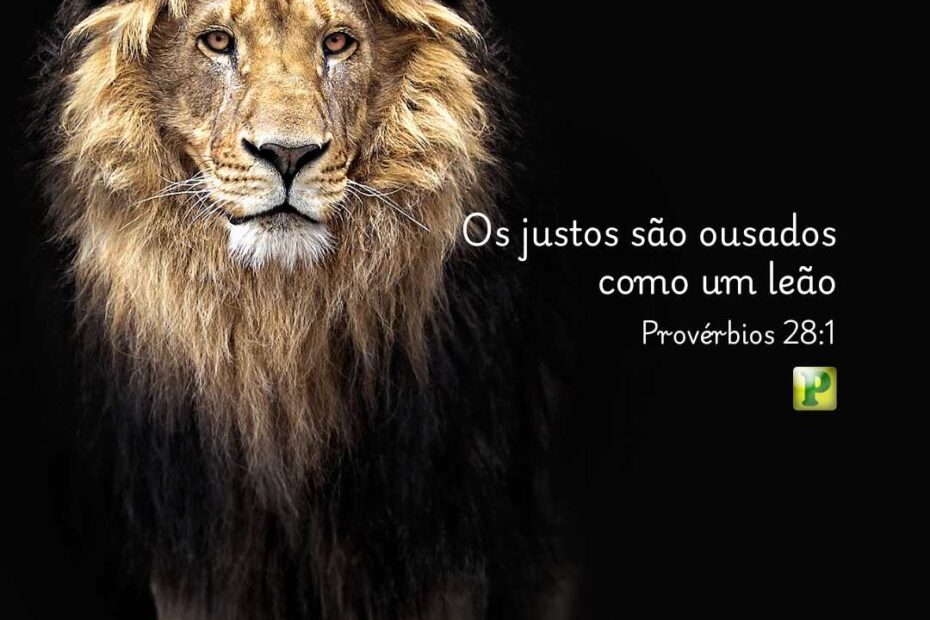 Os justos são ousados como um leão - Provérbios 28:1