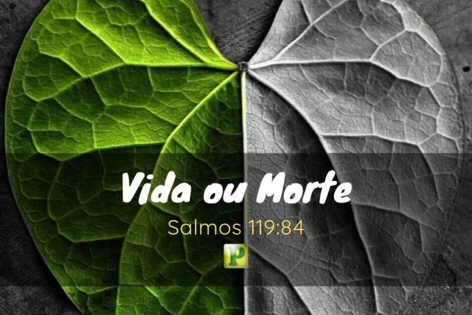 Vida ou Morte? - Salmos 119:84