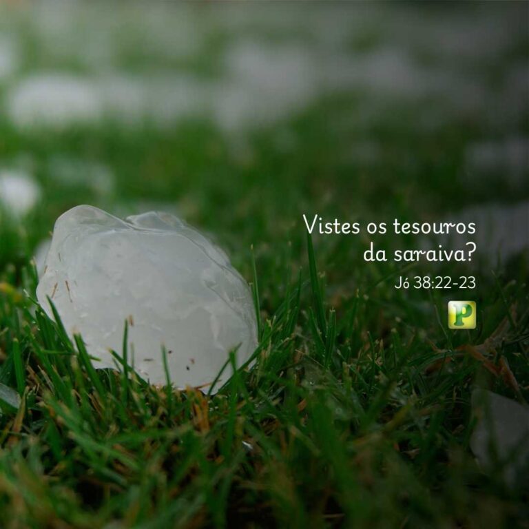 Vistes os tesouros da saraiva? – Jó 38:22-23