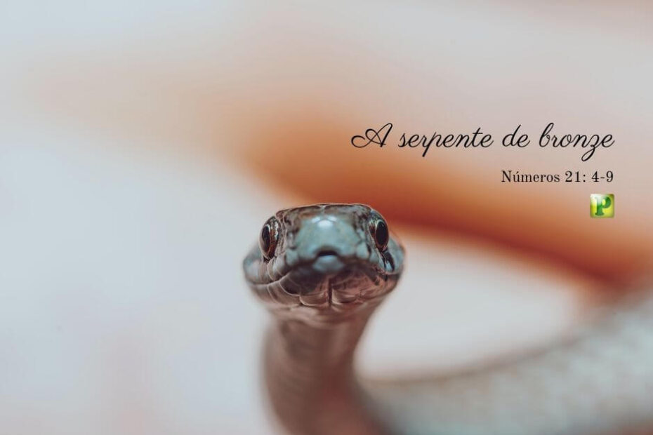 As serpentes ardentes - Pregação Expositiva em Números 21:4-9