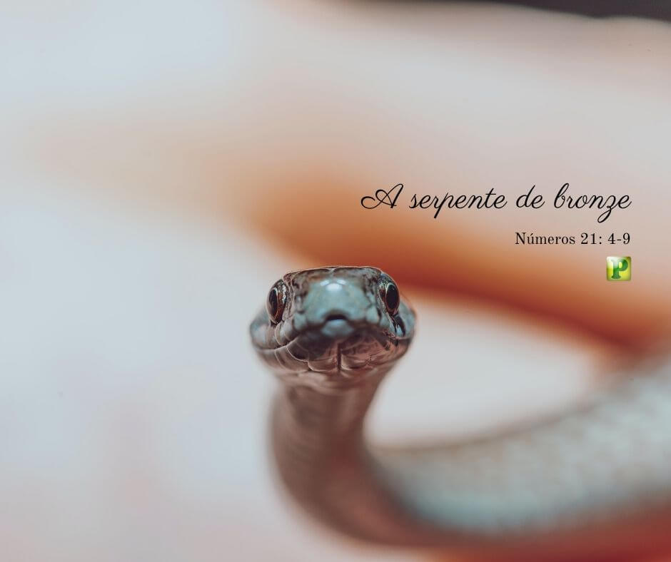 As serpentes ardentes - Pregação Expositiva em Números 21:4-9