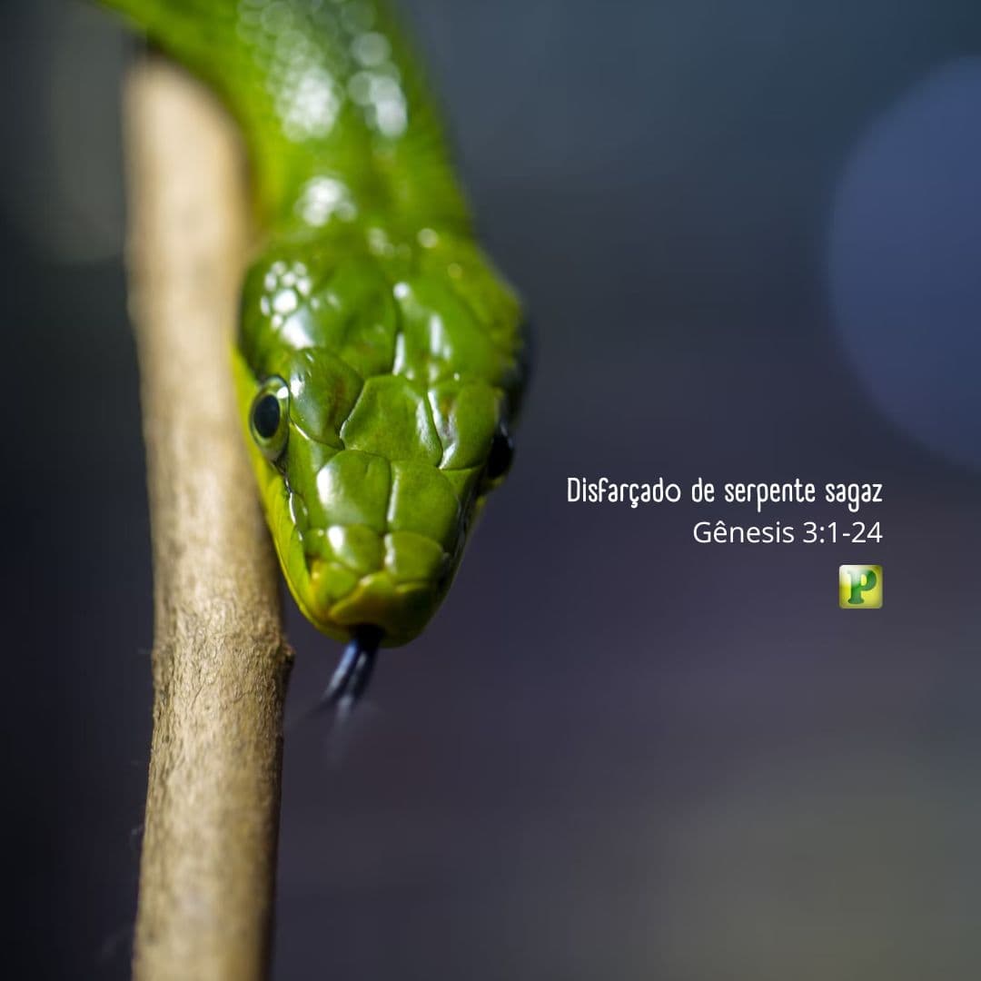Disfarçado de serpente sagaz - Gênesis 31-24