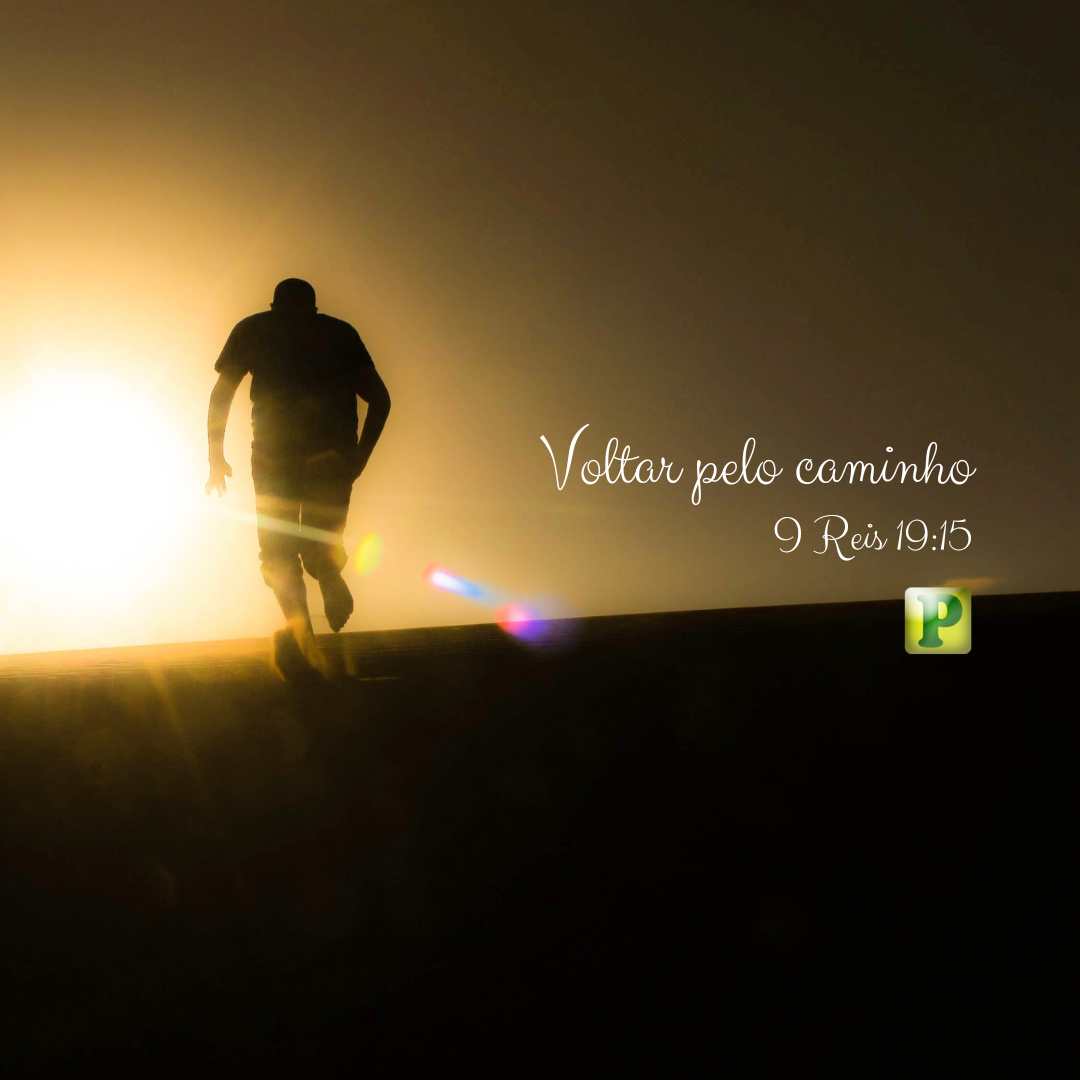 I Reis 19:15 - Pregação Textual Voltar pelo caminho