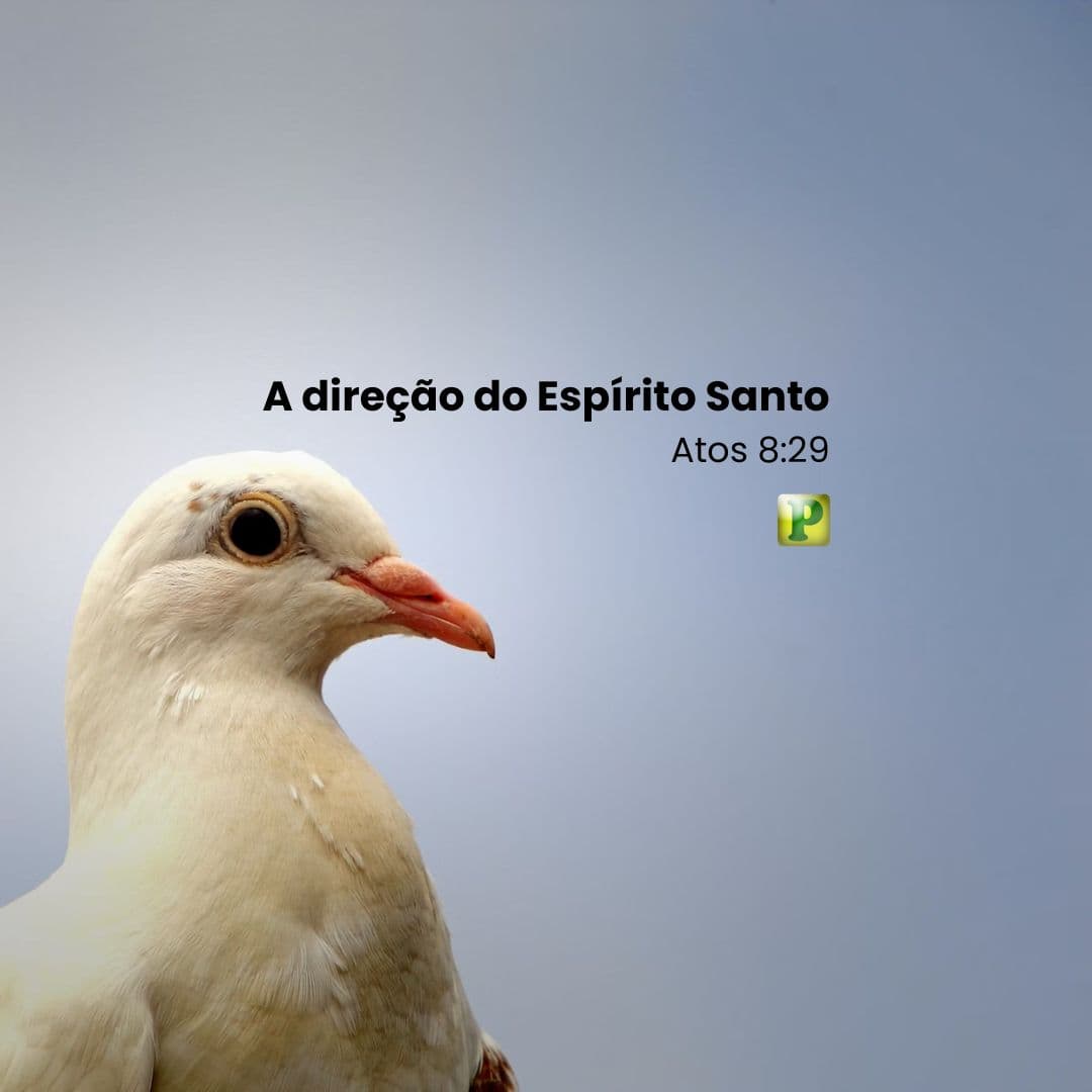 A direção do Espírito Santo - Pregação Expositiva em Atos 8:29