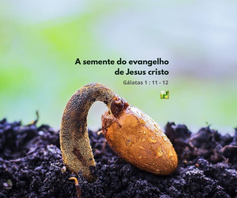 A semente do Evangelho de Jesus – Gálatas 1:11-12