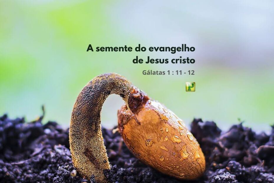 A semente do Evangelho de Jesus - Pregação Textual em Gálatas 1:11-12