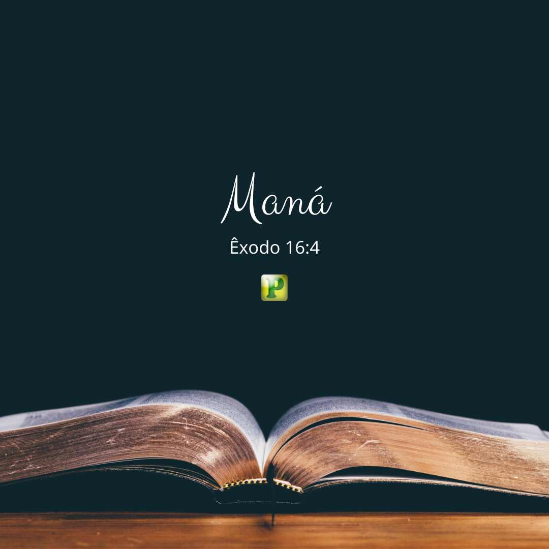 Maná - Pregação tipológica em Êxodo 16:4