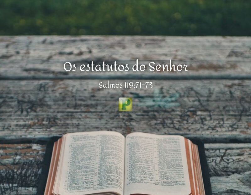 Os estatutos do Senhor - Pregação expositiva em Salmos 119:71-73