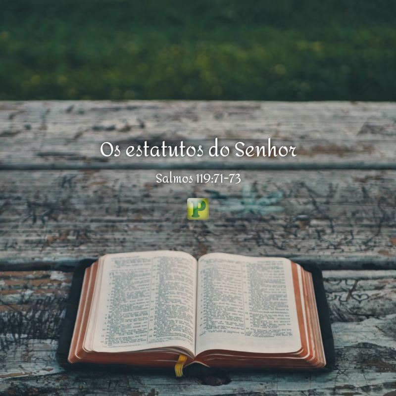 Os estatutos do Senhor - Pregação expositiva em Salmos 119:71-73