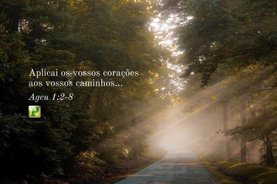 Aplicai os vossos corações... - Pregação Expositiva em Ageu 1:2-8