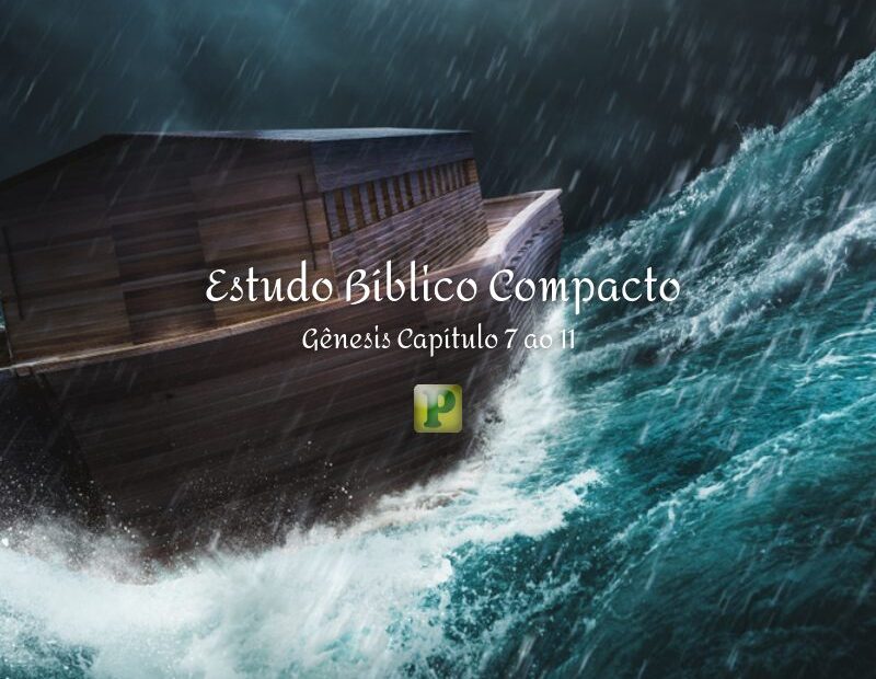 Compact Bible Study - Genesis Chapter 7, 8, 9, 19, 11