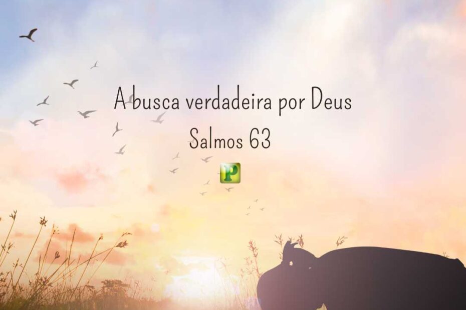 A busca verdadeira por Deus - Pregação Expositiva em Salmos 63