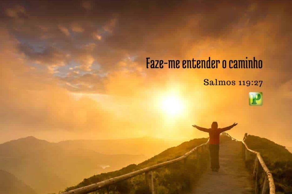 Faze-me entender - Pregação Expositiva em Salmos 119:27