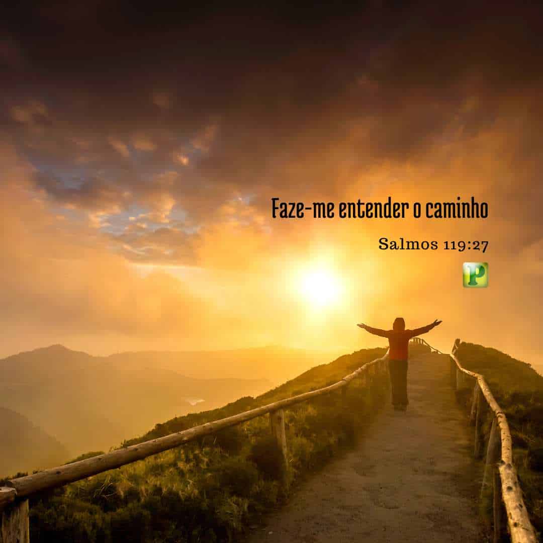 Faze-me entender - Pregação Expositiva em Salmos 119:27
