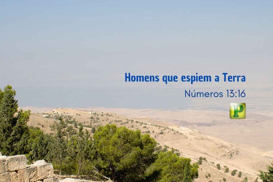 Homens que espiem a Terra - Números 1316