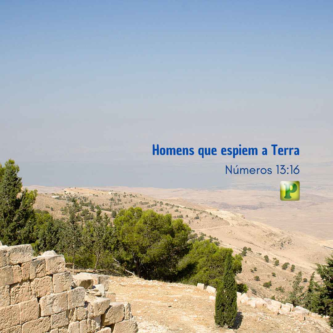 Homens que espiem a Terra - Números 1316