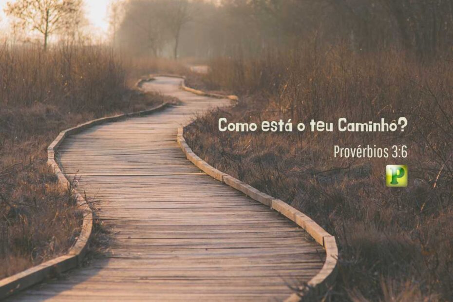 Como está o teu Caminho? - Pregação Textual em Provérbios 3:6