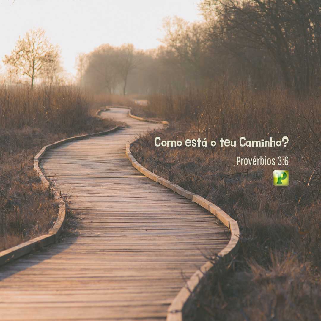 Como está o teu Caminho? - Pregação Textual em Provérbios 3:6