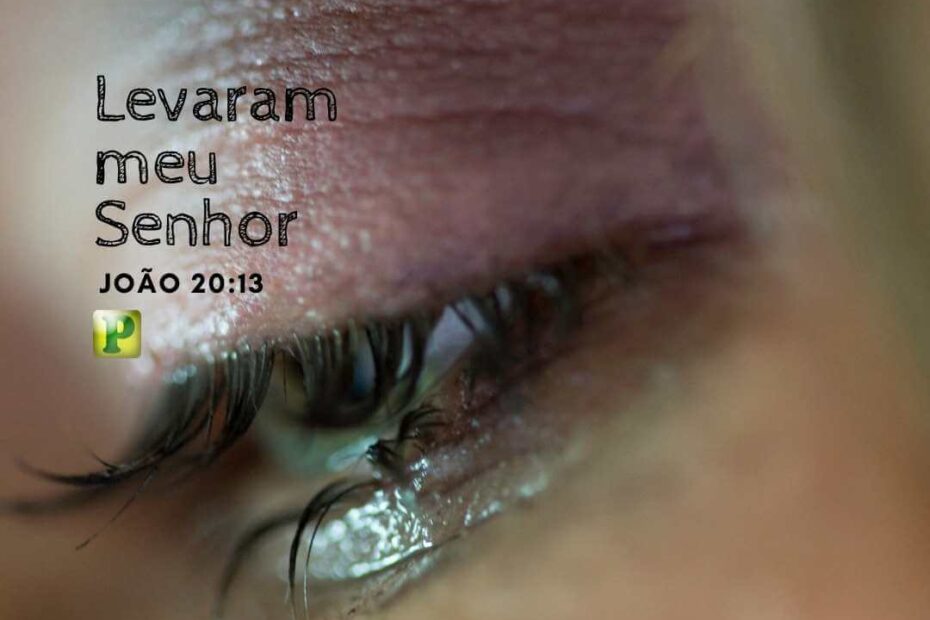 Levaram meu Senhor - João 20:13