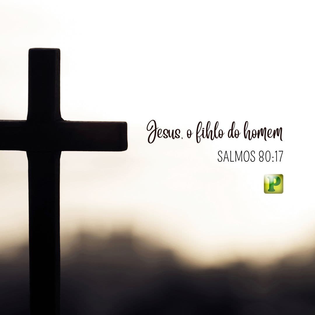 O Filho do Homem - Pregação Expositiva em Salmos 80:17