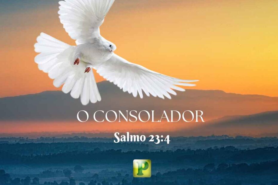 O Consolador - Esboço de Pregação Textual em Salmo 234