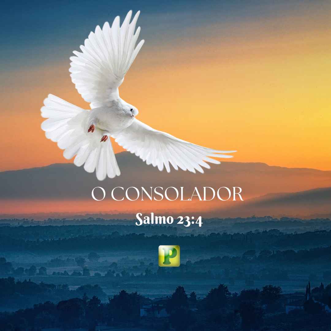 O Consolador - Esboço de Pregação Textual em Salmo 234