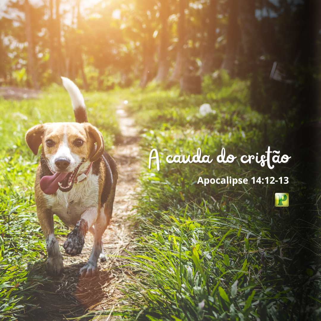 A cauda do cristão - Apocalipse 14:12-13