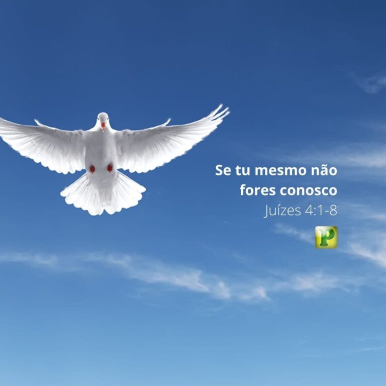 Se tu mesmo não fores conosco – Juízes 4:1-8