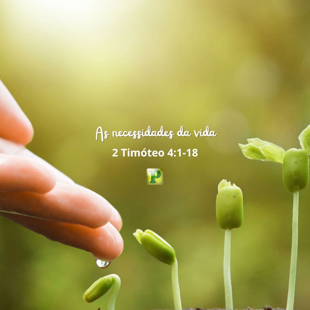 As necessidades da vida - 2 Timóteo 4:1-18