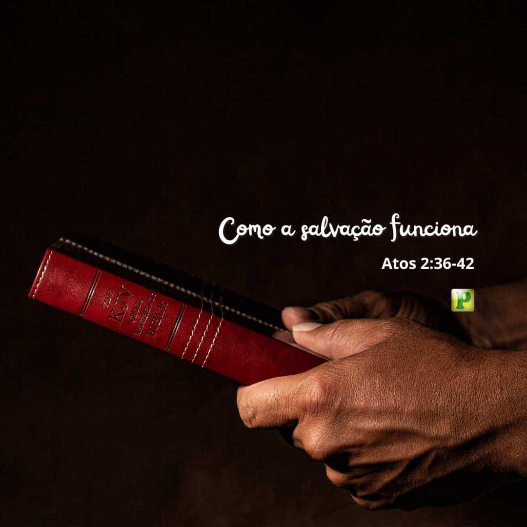 Como a salvação funciona - Atos 2:36-42