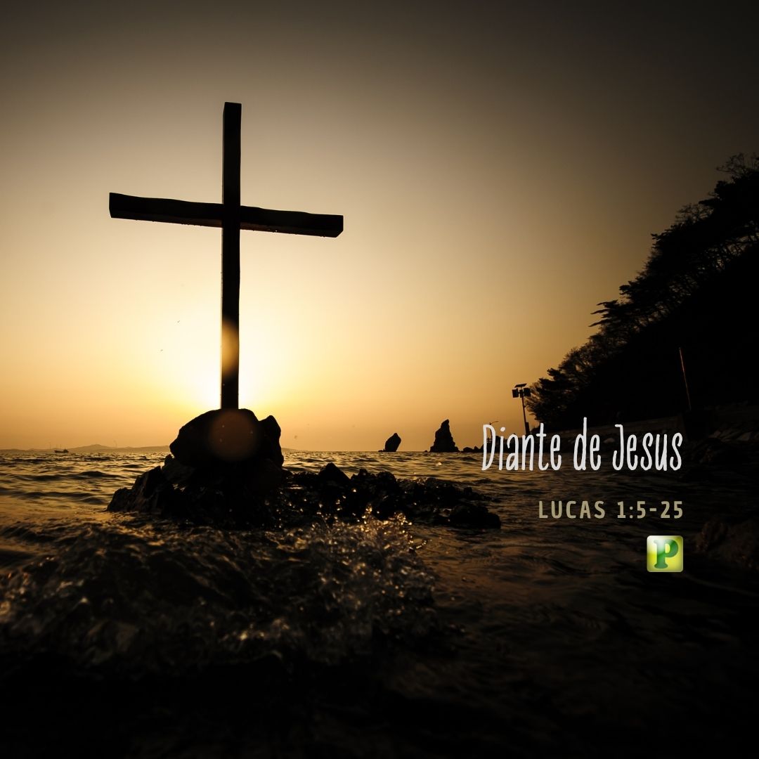Diante de jesus Lucas 15-25